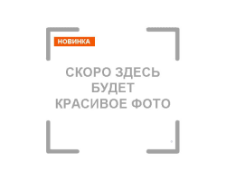 CHAMPION 240-16" бензопила (2,4л.с., 39,6куб.см, шина и цепь: 16" 3/8" 1,3мм 56Е, 4,3кг)